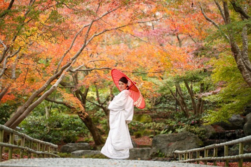 紅葉　ロケーションフォト　オシャレウェディング　大阪　京都