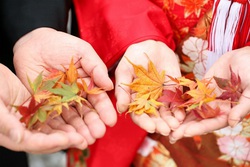 紅葉　ロケーションフォト　オシャレウェディング　大阪　京都