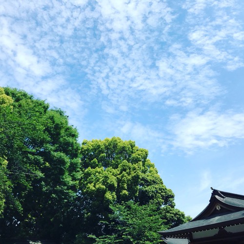 東京　横浜　千葉　オリジナルウェディング　ウエディング　結婚式　プロデュース　パーティ　貸切　持込自由　レストラン　カシータ　神前式　和婚　白無垢　神社　