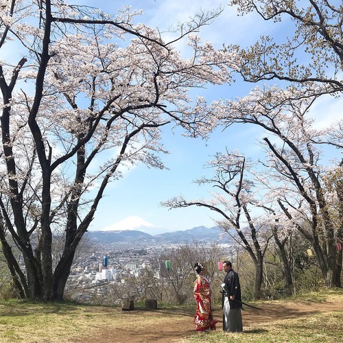 オリジナルウエディング　旅館　和装　箱根　桜　富士山　前撮り　フォトウエディング