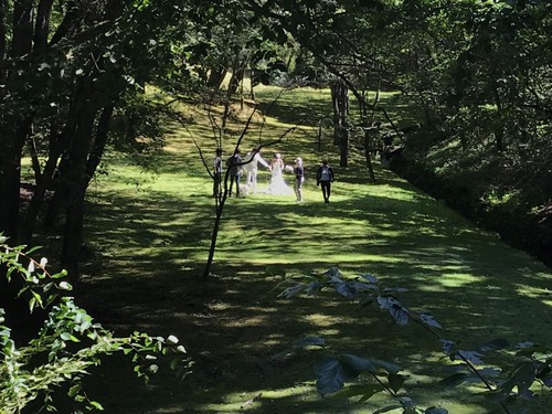 東京　軽井沢　結婚式　アウトドアウエディング　自然　国内リゾートウエディング　ファームウエディング　オリジナルウエディング　バーモラル　ライジングフィールド　リソル生命の森