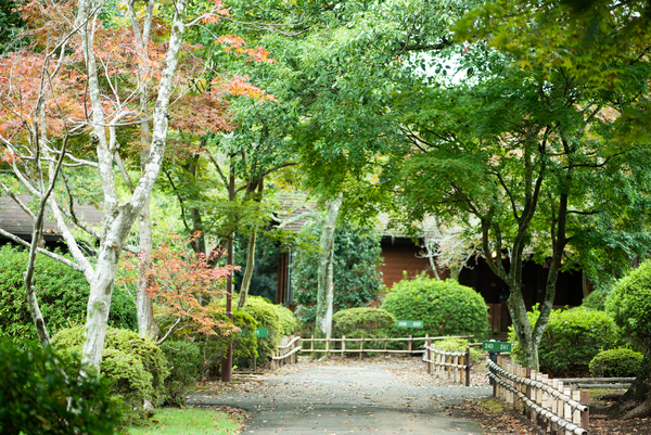 アウトドアウエディング　東京　千葉　オリジナルウェディング　リソル生命の森　ガーデン　ナチュラル　ラスティック