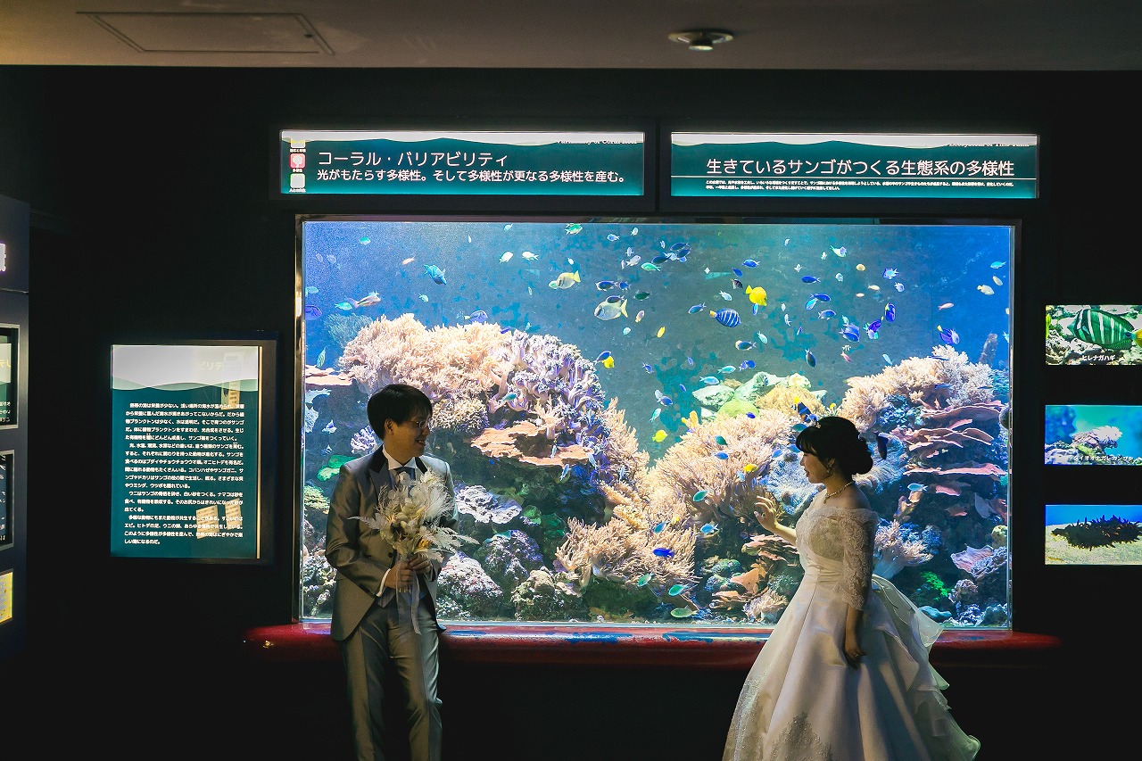 須磨水族園 オリジナルウェディング ウェディングプロデュース プロデュース会社 フリープランナー 大阪 神戸 京都 結婚式