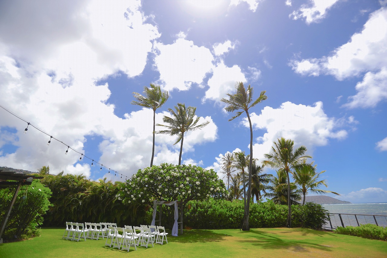ハワイ　結婚式　ハレプナカイ　ガーデン挙式　ガーデン　青空　ヤシの木　