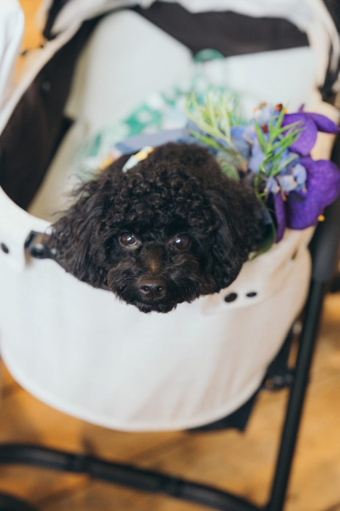 結婚式 レトロポップ