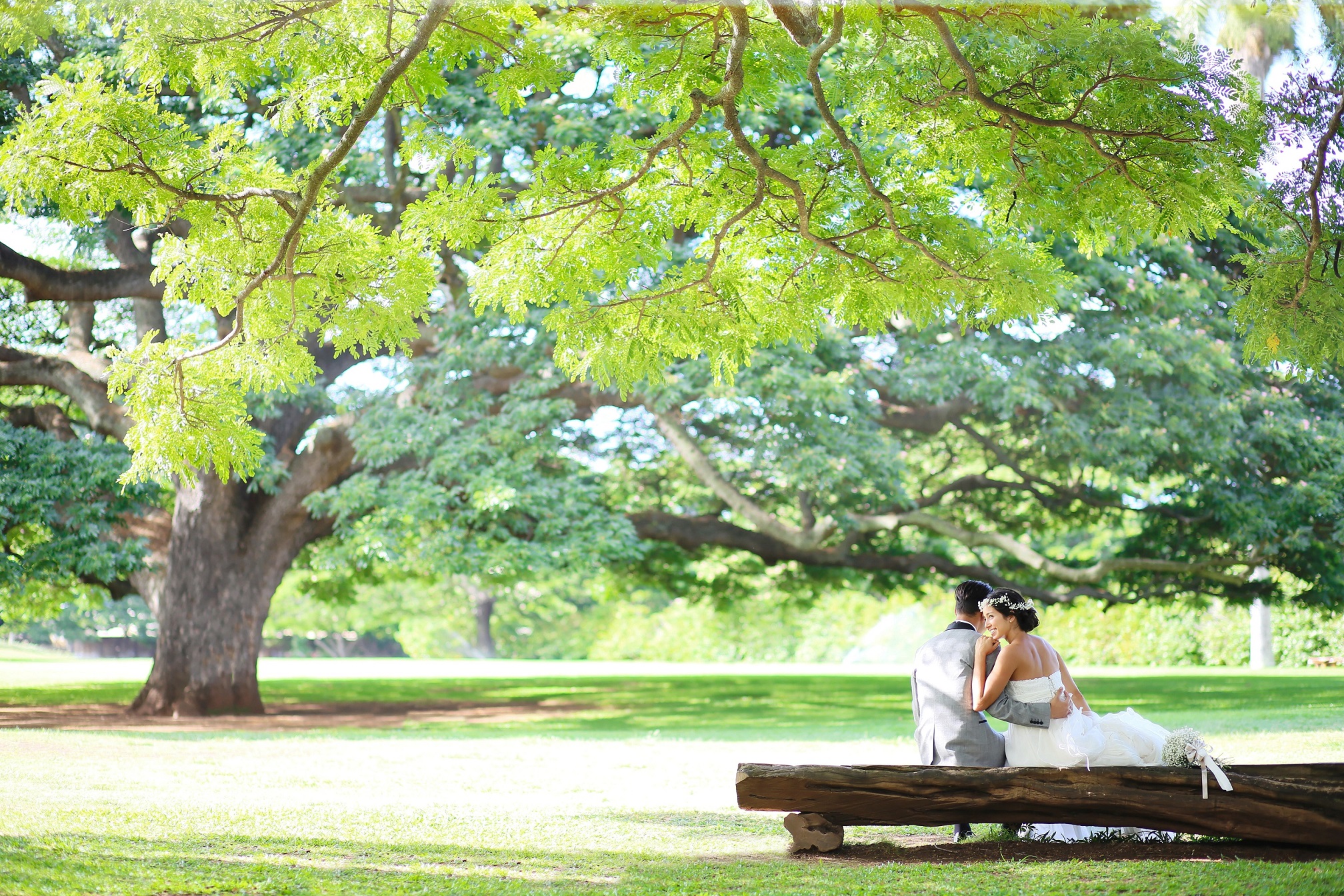 モアナルア公園の大きなモンキーポッドの木の下で結婚式